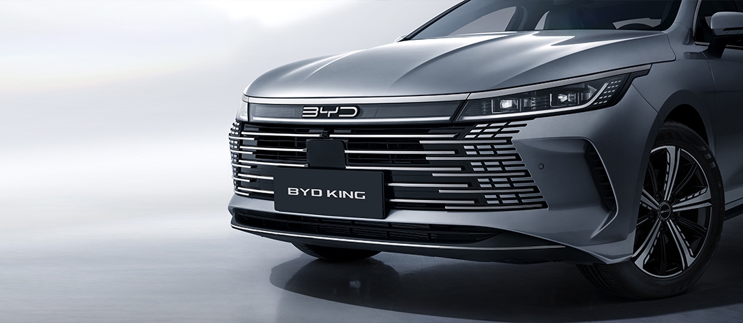 Facia delantera con carácter y fuerza BYD KING