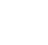 icon Automotriz