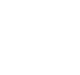 icon Electrónica